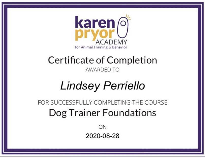 Certified Professional Pet Sitter