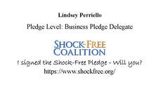 Shock Free Certification - Leechburgh - Lower Burrell